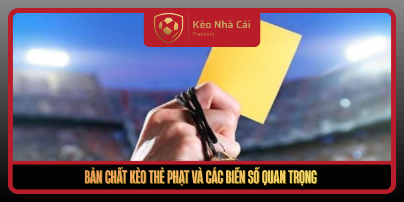 Ban Chat Keo The Phat Va Cac Bien So Quan Trong