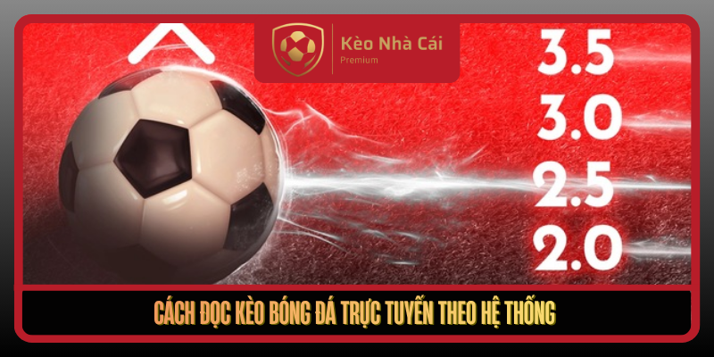 Cach Doc Keo Bong Da Truc Tuyen Theo He Thong