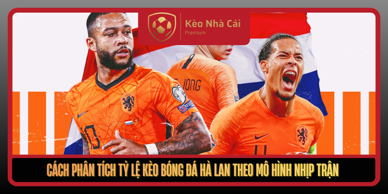 Cach Phan Tich Ty Le Keo Bong Da Ha Lan Theo Mo Hinh Nhip Tran