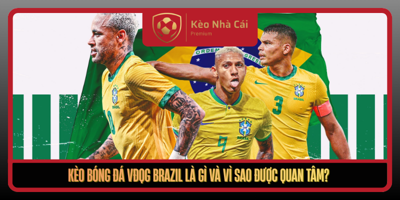 Keo Bong Da Vdqg Brazil La Gi Va Vi Sao Duoc Quan Tam