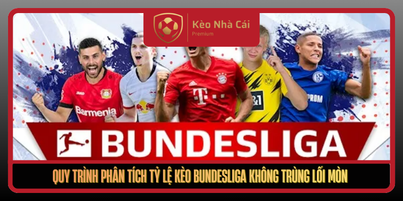 Quy Trinh Phan Tich Ty Le Keo Bundesliga Khong Trung Loi Mon