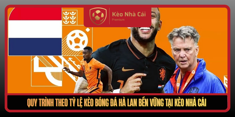 Quy Trinh Theo Ty Le Keo Bong Da Ha Lan Ben Vung Tai Keo Nha Cai