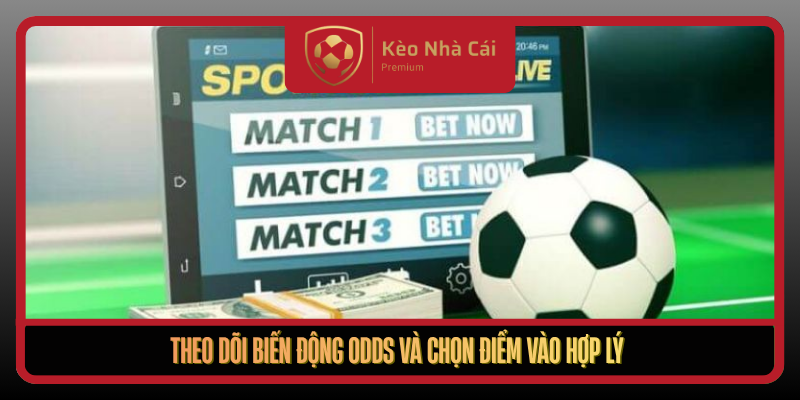 Theo Doi Bien Dong Odds Va Chon Diem Vao Hop Ly