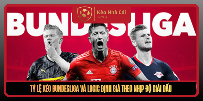 Ty Le Keo Bundesliga Va Logic Dinh Gia Theo Nhip Do Giai Dau