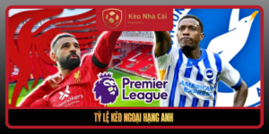 Ty Le Keo Ngoai Hang Anh2